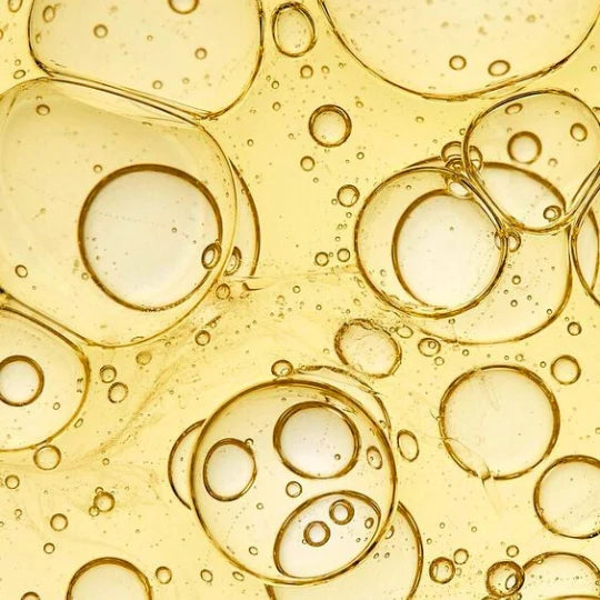 Sesame Seeds|Sesamum indicum