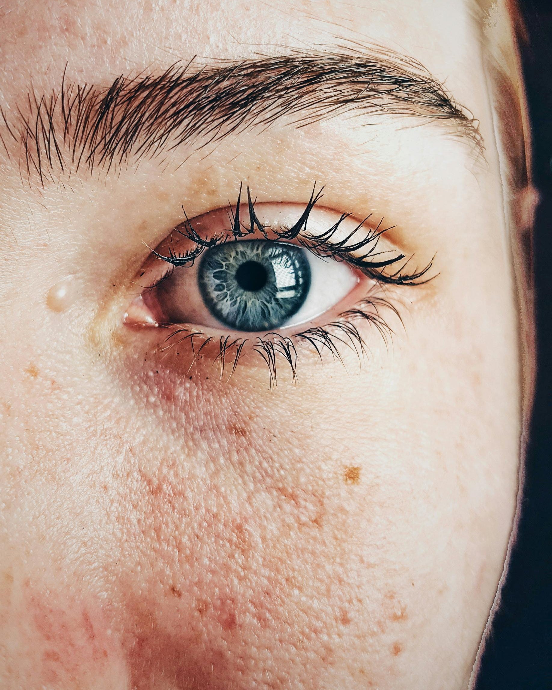 Οι Άνθρωποι